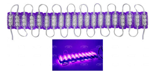 20 Módulos Cristal 5050 3 Led Con Lupa 12v Varios Colores