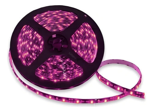 Tira Led Tunix La-frh5 3528 Rosa 5m 12v