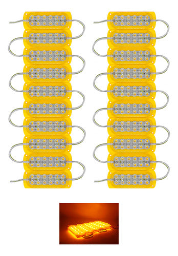 20 Módulos 12 Led Tiras De Luces 3528 Reforzado Ip67