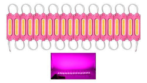 20 Piezas Módulos 6 Led Cob 5730 Encapsulado Varios Colores